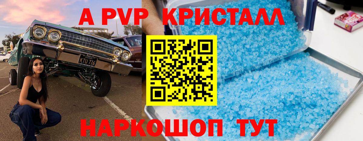 A PVP СК КРИС Шебекино