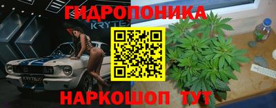 ГАЛЛЮЦИНОГЕННЫЕ ГРИБЫ Ликино-Дулёво