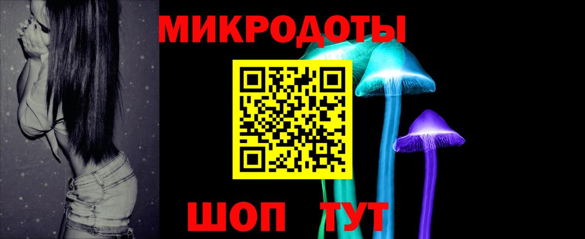 как найти закладки  Псилоцибиновые грибы ЛСД  Шебекино  Вход с VPN  Псилоцибиновые грибы мухоморы 
